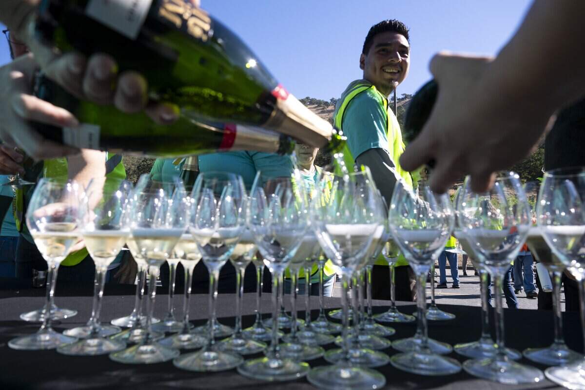 Mumm Napa employees pour sparkling wine during a celebration of the winery’s first grape harvest of 2026 on Thursday, July 23, in Rutherford.